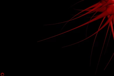 Black Wallpaper: Black Wallpapers HD