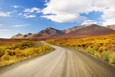 Winding Road Wallpapers And Images   Wallpapers, Pictures, Photos