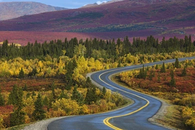 THE LONG AND WINDING ROAD WALLPAPER   (