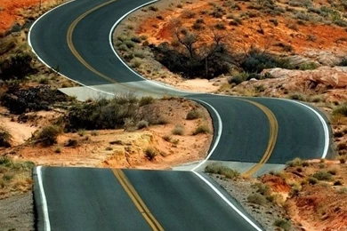 Winding Road Autumn iPhone 5s Wallpapers Download