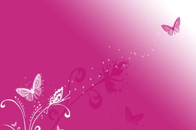 Wallpapers Kisses Butterfly 1024x768