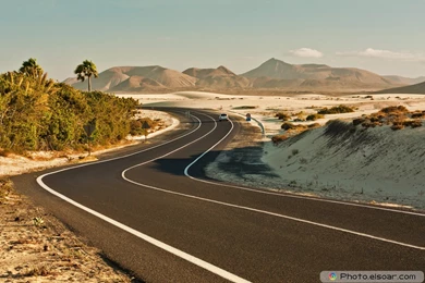 Road In Summer Forest. Photos & Wallpapers • Elsoar