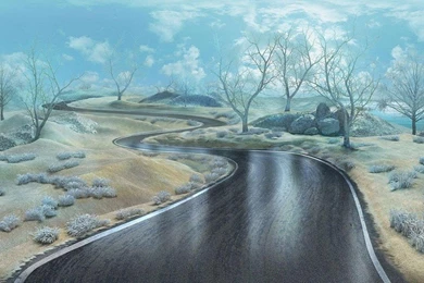 Winding Road Wallpapers   (