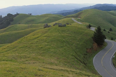 Cool Green Stripes Hd Desktop Backgrounds Widescreen And HD ...