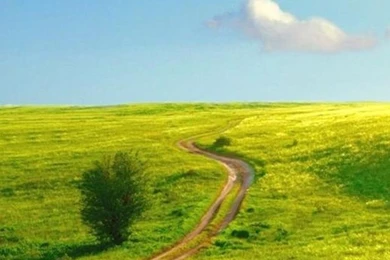 Nature Winding Road Pure Skyscape iPhone 5s Wallpapers Download ...