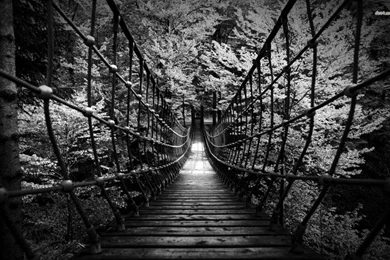 Hypocrisy At Its Finest