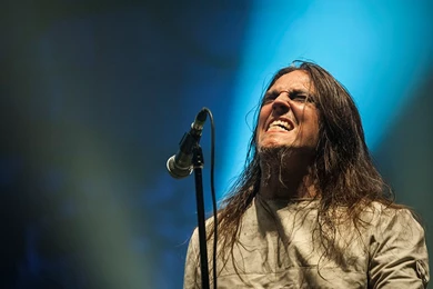 Petertägtgren   DeviantArt