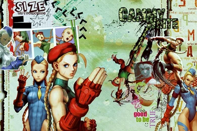 DeviantArt: More Like Cammy Wallpapers By Ishily