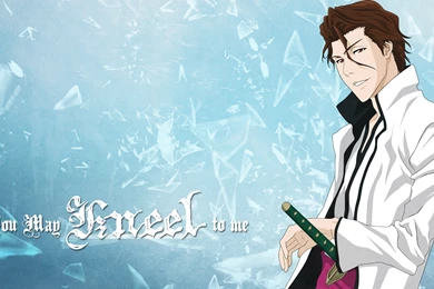 Sousuke Aizen   Aizen Wallpapers (36678334)   Fanpop