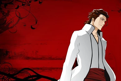 Aizen sama   Aizen Wallpapers (30736657)   Fanpop