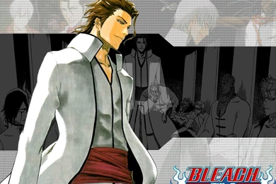 Aizen sama   Aizen Wallpapers (30736629)   Fanpop