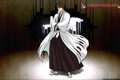 Bleach Wallpapers Aizen Wallpapers » WallDevil Best Free HD ...