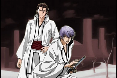 Aizen sama Aizen Wallpapers (30736627) Fanpop