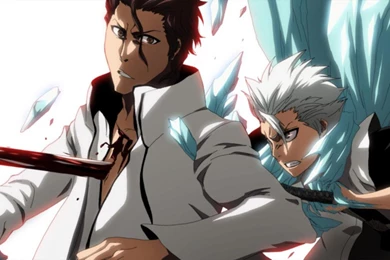 AIZEN VS TOUSHIROU WALLPAPER (