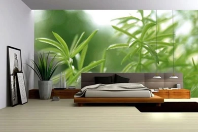 Wall: 14 Elegant Photography Wallpapers Home Design