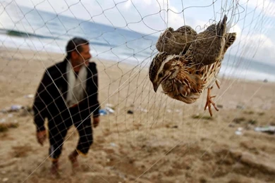 My Life Like: 10/21/13