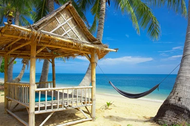 Best Beach Wallpapers: Bora Bora, Ibiza, Hawaii, Maldives ...