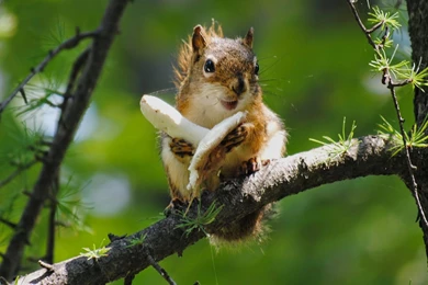 Free Download HD Wallpapers, Pictures, Images, Backgrounds: Best ...