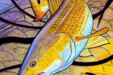 Red Fish By David Dunleavy