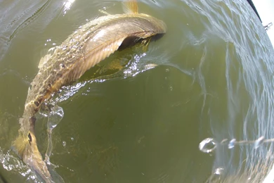 Tips & News   BigWater Adventures