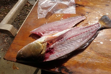 Pan Fried Redfish............................
