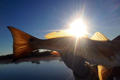 SkinnySkiff   Reviews And Discussions For Shallow Water Skiffs And ...