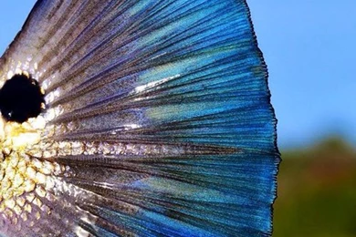 Hell's Bay Boatworks