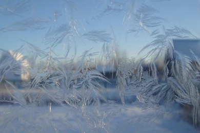 Frosted Glass Frost Wallpapers