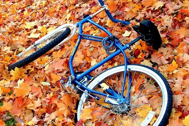 The Nostalgic Memory Bicycles Aesthetic Photography Wallpapers 7 ...