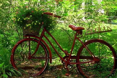 The Nostalgic Memory Bicycles Aesthetic Photography Wallpapers 5 ...