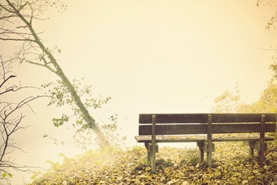 Fog,fall,mood,nostalgic AQUOS PHONE Xx 203SH,Lenovo Mobile Phone ...