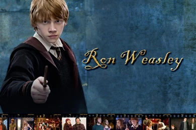 Ron Weasley =D Harry Potter Wallpapers (5381607) Fanpop