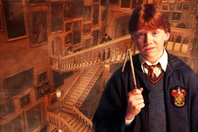 Ron Weasley Harry Potter Wallpapers (213596) Fanpop