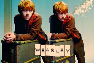 Ron Weasley Ronald Weasley Wallpapers (1047546) Fanpop
