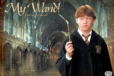 Ronald Weasley Ronald Weasley Wallpapers (16375504) Fanpop