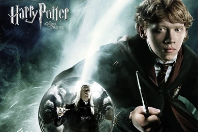 Ron Weasley Harry Potter Wallpapers (453979) Fanpop