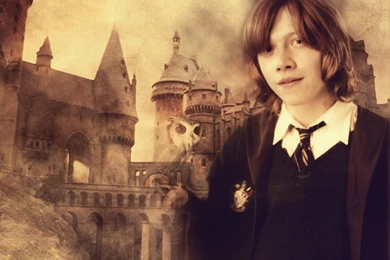 Ron Weasley   Harry Potter Wallpapers (213591)   Fanpop