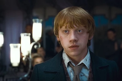 Ronald Weasley Wallpapers   Ronald Weasley Wallpapers (25506316 ...