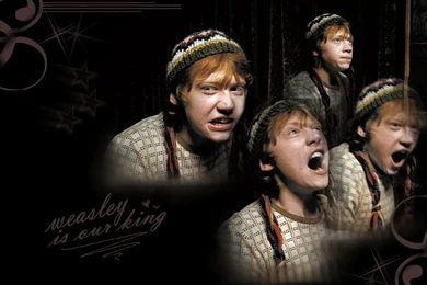 Ron Weasley Ronald Weasley Wallpapers (1047379) Fanpop