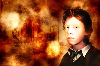 Ron Weasley   Harry Potter Wallpapers (213594)   Fanpop