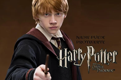 OtterPIRATES NET BLOG: Wallpapers Harry P