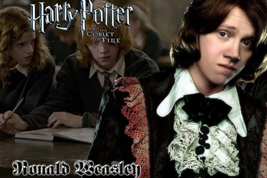 Ron Weasley Ronald Weasley Wallpapers (1047360) Fanpop