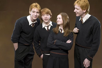Harry Potter Ron Gini Fred And George Weasley Wallpapers ...