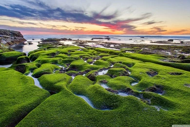 World Famous Places Wallpapers Presidential Suite The White House ...