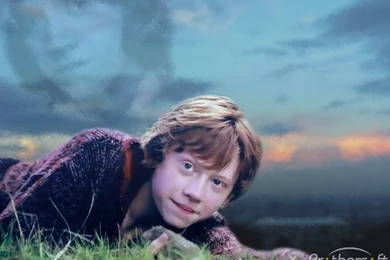 Download Free Ron Weasley In The Movies Wallpaper, Ron Weasley In ...