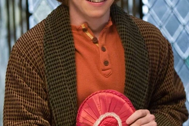 Redheads Harry Potter Harry Potter And The Half Blood Prince ...