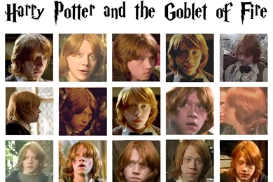 Ron Weasley   Ronald Weasley Wallpapers (1047366)   Fanpop