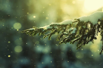 Christmas Wallpapers Tumblr