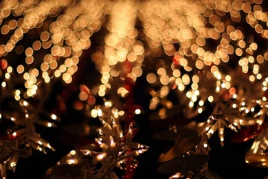 Christmas Tree Backgrounds Tumblr