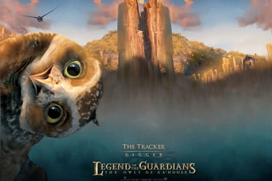 Legend Of The Guardians: The Owls Of Ga'Hoole Movies Wallpapers ...